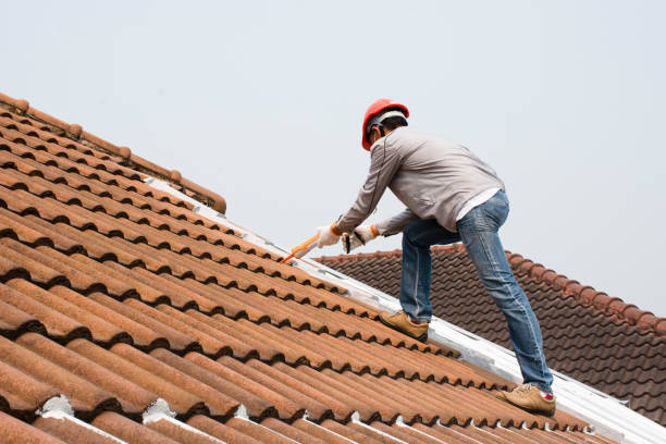 Best Storm Damage Roof Repair  in Lake Lakengren, OH